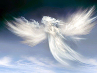 У кого именины 24 июня?