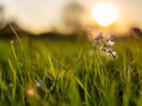 Запреты дня 27 июня 2022: что нельзя делать на Елисеев день