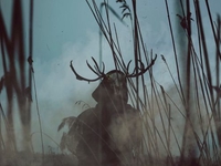 ТОП-7 ужастиков, основанных на реальных событиях