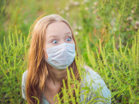 Аллергия на амброзию: что следует знать