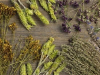 Запреты дня 11 июля 2022: что нельзя делать на Крапивное заговенье