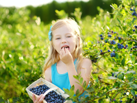 Запреты дня 22 июля 2020: Чего категорически нельзя делать на Кирилла Черничного