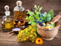 Как снять зуд от укуса комара: 11 народных методов