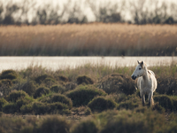 Запреты дня 24 августа 2022: что нельзя делать на Евпла