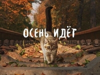 "Привет, Сентябрь!": Поздравления и открытки с первым днем осени