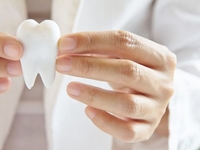 Зубы - не волосы, не отрастут: Мифы и реалии здоровой улыбки