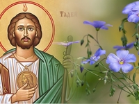 Запреты дня 3 сентября 2022: что нельзя делать на Фаддея Проповедника