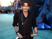 57-летний Джонни Депп закрутил роман с немецкой моделью - СМИ