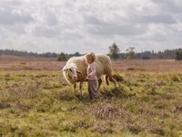 Запреты дня 15 сентября 2022: что нельзя делать на День Мамонтия