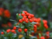 Запреты дня 23 сентября 2022: что нельзя делать на Петра и Павла Рябинников