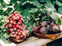 Запреты дня 26 сентября 2022: что нельзя делать на Корнилов день