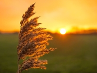 Запреты дня 7 октября 2022: что нельзя делать на Феклу Заревницу