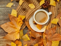 Запреты дня 11 октября 2022: что нельзя делать на Харитонов день