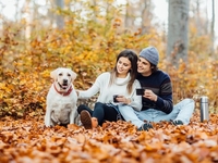 Запреты дня 19 октября 2022: что нельзя делать на Фомин день