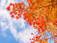 Запреты дня 25 октября 2022: что нельзя делать на День Андроника