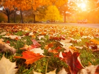 Запреты дня 28 октября 2022: что нельзя делать на Ефимия Осеннего