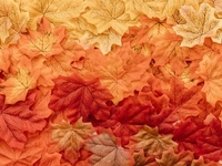 Запреты дня 29 октября 2022: что нельзя делать на Лонгина Сотника