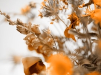 Запреты дня 5 ноября 2022: что нельзя делать на День Якова