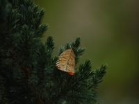 Запреты дня 6 ноября 2022: что нельзя делать на Афанасьев день