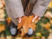 Запреты дня 15 ноября 2022: что нельзя делать на День памяти семи тысяч мучеников