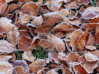 Запреты дня 22 ноября 2022: что нельзя делать на Матрену Зимнюю