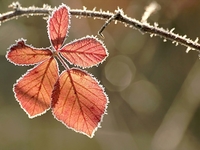 Запреты дня 23 ноября 2022: что нельзя делать на Родиона и Эраста