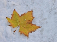 Запреты дня 25 ноября 2022: что нельзя делать на Ивана Милостивого