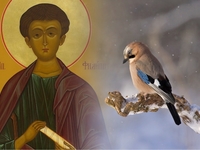 Запреты дня 27 ноября 2022: что нельзя делать на Филиппово заговенье