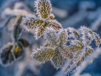 Запреты дня 30 ноября 2022: что нельзя делать на Григория Чудотворца