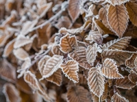 Запреты дня 3 декабря 2022: что нельзя делать на Проклов день