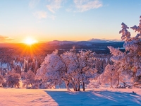 Запреты дня 21 декабря 2022: что нельзя делать на день зимнего cолнцестояния