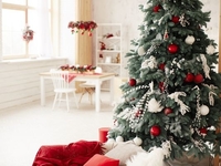 Запреты дня 25 декабря 2022: что нельзя делать на Спиридона Солнцеворота