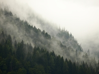 Запреты дня 28 декабря 2020: Чего нельзя делать в Трифонов день