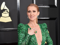 Редкий кадр: Селин Дион показала троих сыновей на одном фото