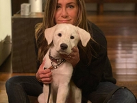 В бикини: 51-летняя Дженнифер Энистон показала свое тело