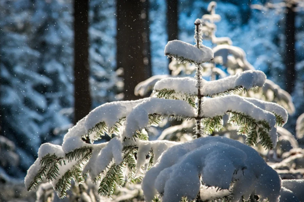 Запреты дня 16 января 2022: чего категорически нельзя делать на Гордеев день