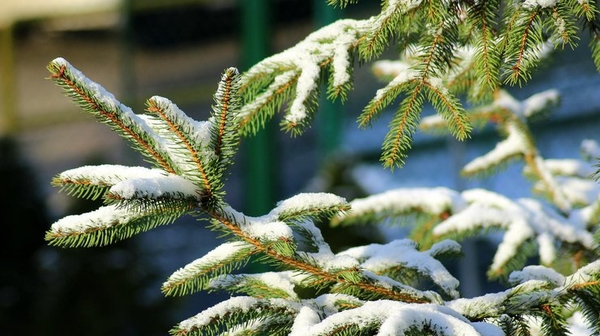 Запреты дня 17 января 2022: чего нельзя делать в день 70 апостолов