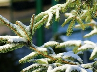 Запреты дня 17 января 2022: чего нельзя делать в день 70 апостолов