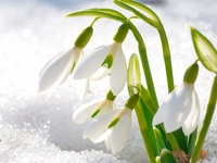 Запреты дня 23 января 2022: чего категорически нельзя делать на Григория Летоуказателя