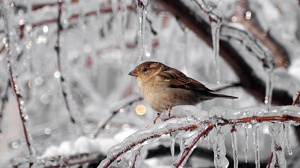 Запреты дня 24 января 2022: чего нельзя делать на Феодосия