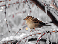 Запреты дня 24 января 2022: чего нельзя делать на Феодосия