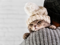 Запреты дня 26 января 2022: что нельзя делать на Ермилов день