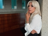 Леди Гага запостила эффектный кадр в ванной