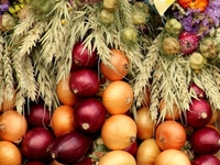 Запреты дня 20 февраля 2022: чего категорически нельзя делать на День Луки