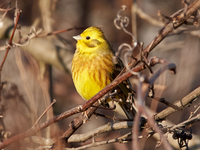 Запреты дня 3 марта 2021: Чего категорически нельзя делать на Праздник Овсянки