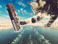 Лучшие мемы о судне, застрявшем в Суэцком канале