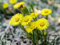 Запреты дня 10 апреля 2022: что нельзя делать на Иллариона