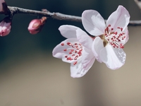 Гороскоп на 13 апреля 2022 года для всех знаков зодиака