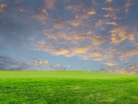 Запреты дня 23 апреля 2022: Что нельзя делать на Терентия Маревного