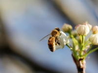 Запреты дня 28 апреля 2022: что нельзя делать на Пудов день